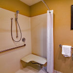 accessible guest bathroom with roll-in shower and seat