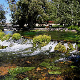 Giant Springs State Park, MT